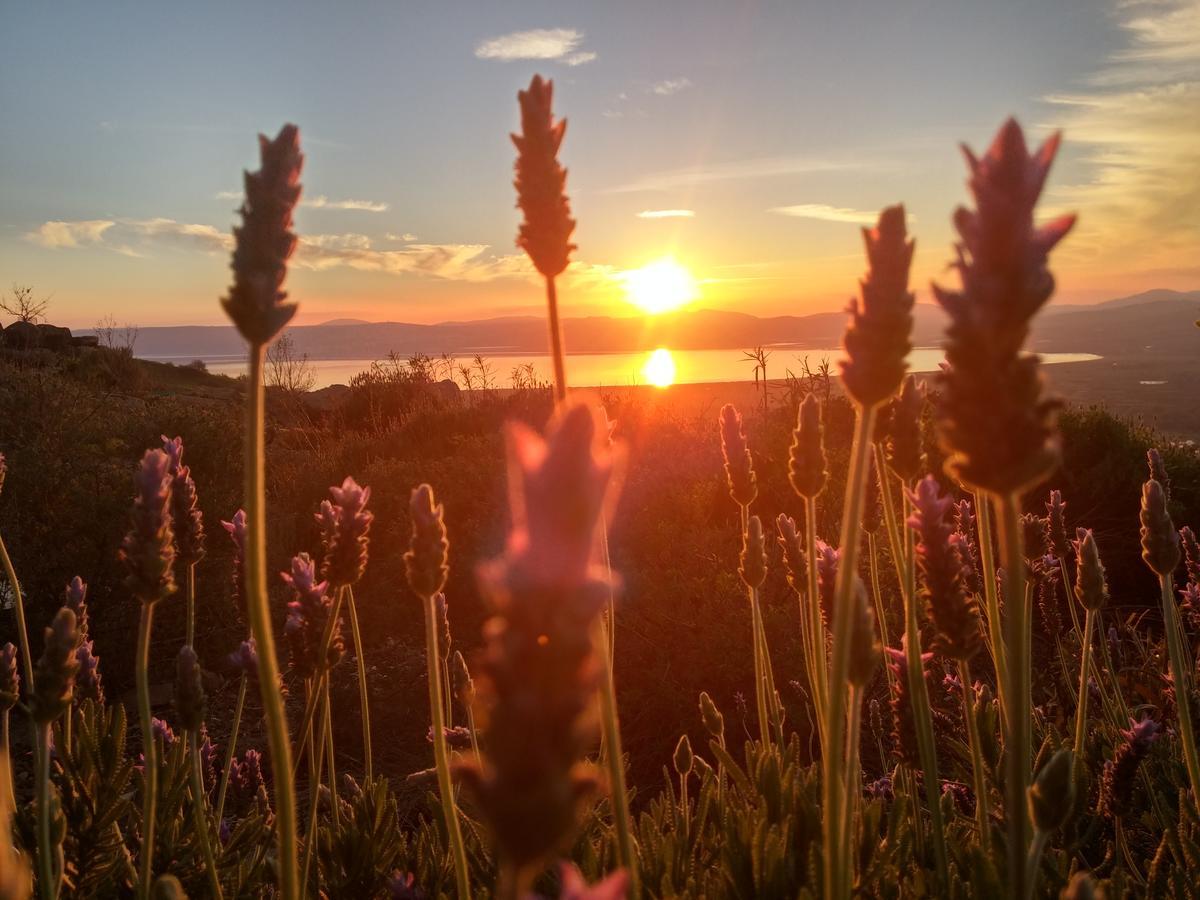Green Island Ма'але гамла Екстериор снимка